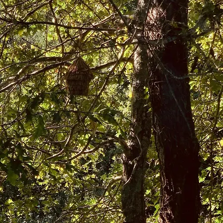 Σπίτι διακοπών Bisas Caminha