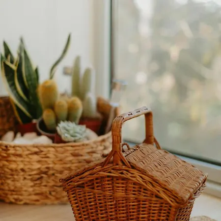 בית נופש Bisas קמיניה