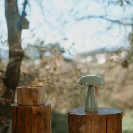 Bisas * קמיניה