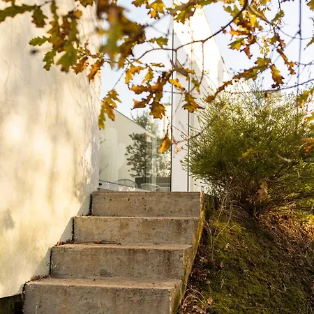 Bisas בית נופש קמיניה