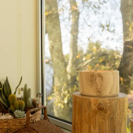 Bisas * קמיניה