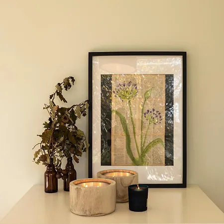 בית נופש Bisas