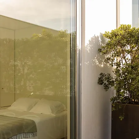 Bisas * קמיניה