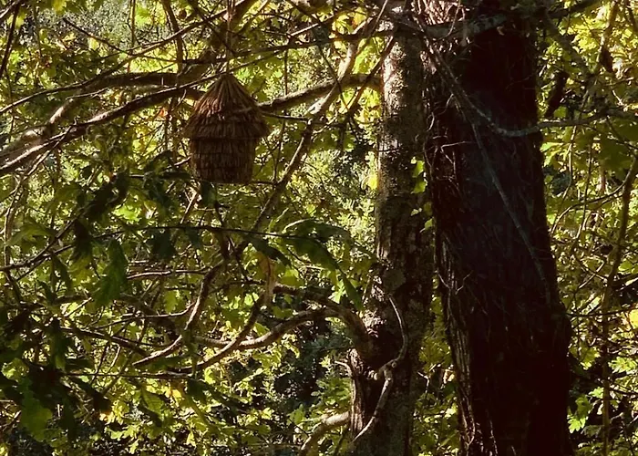 Holiday home Bisas Caminha