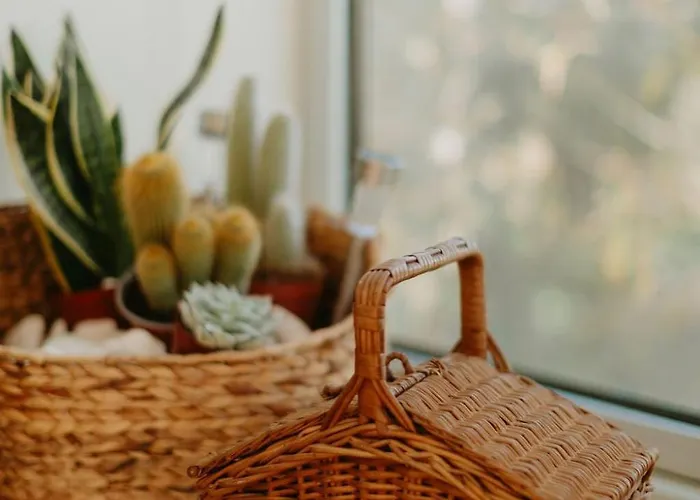 Сasa de vacaciones Bisas Caminha